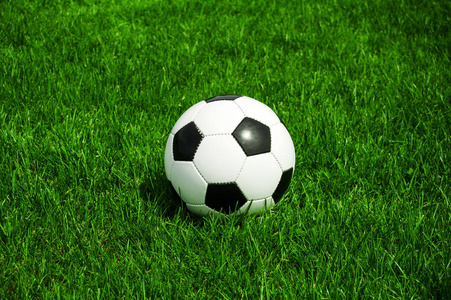 篮球比分网多平台下载展示